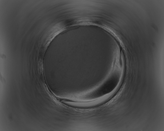 X0000090491289200708031138