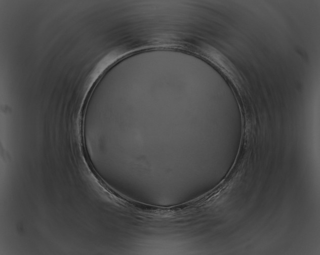 X0000090491291200708031138