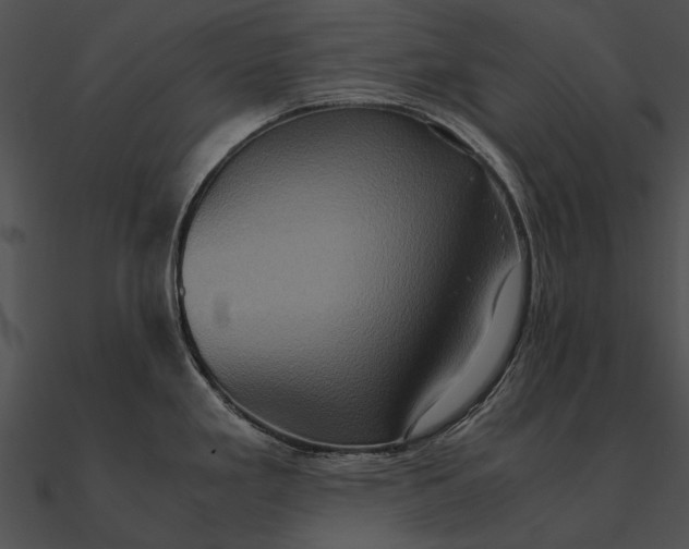 X0000090491293200708031138