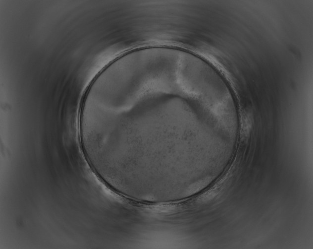 X0000090491294200708031138