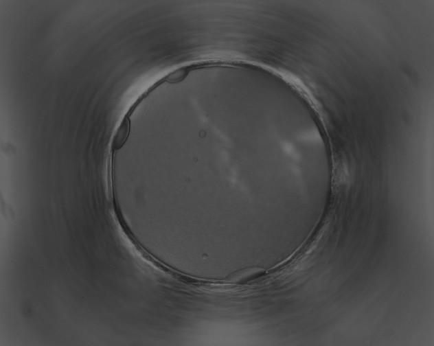 X0000090491295200708031138