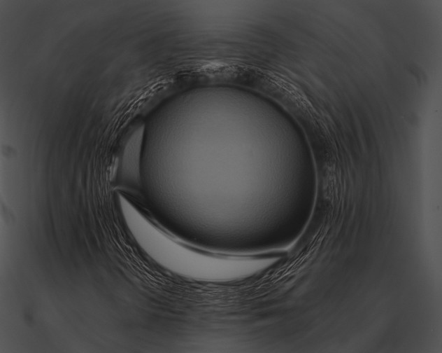 X0000090491298200708031137