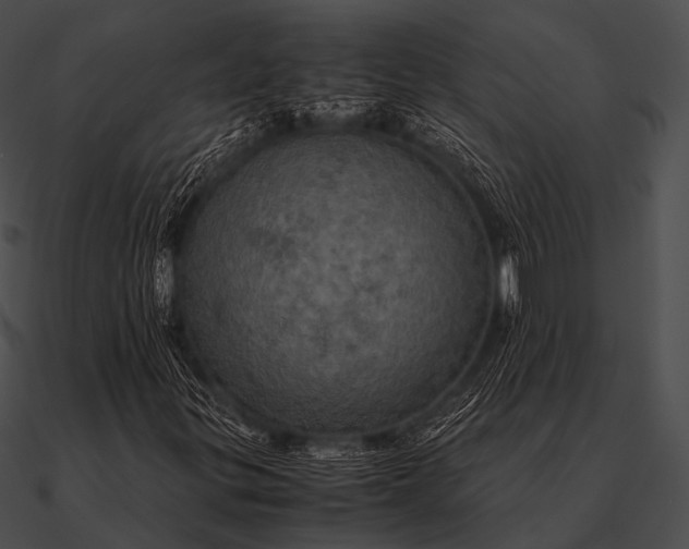 X0000090491299200708031137