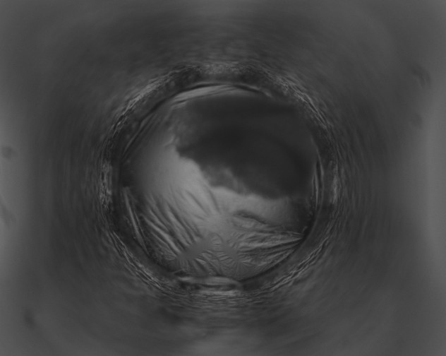 X0000090491301200708031137