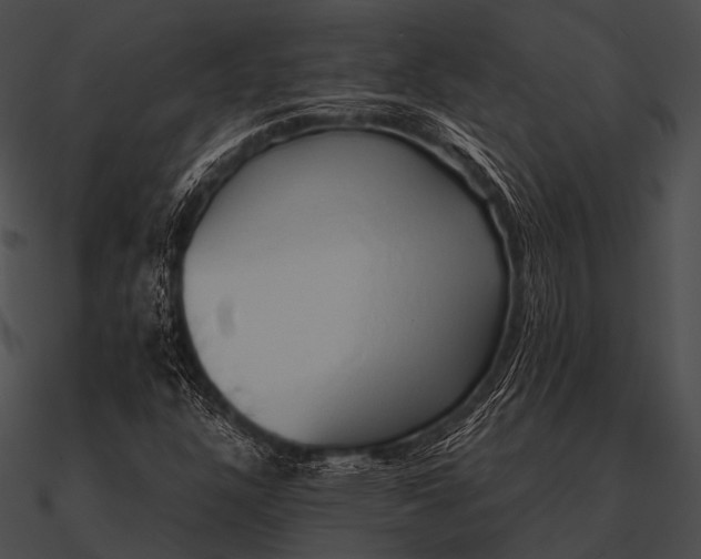 X0000090491304200708031137