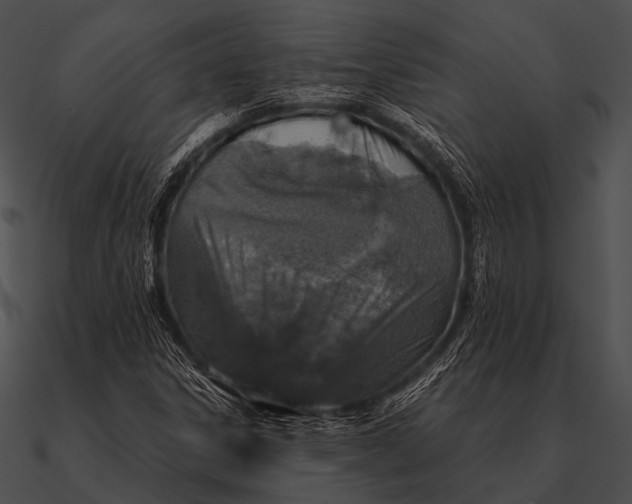 X0000090491306200708031137