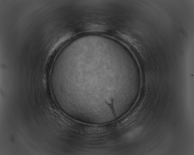 X0000090491307200708031137