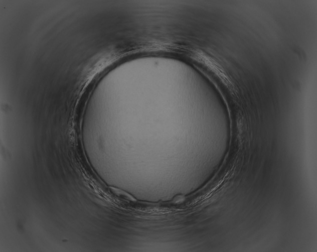 X0000090491308200708031137