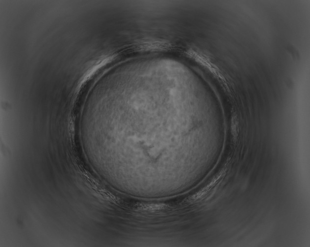 X0000090491309200708031137