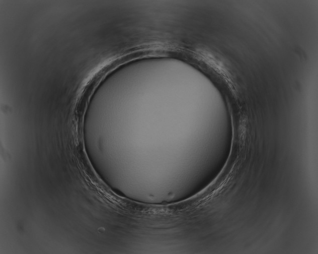 X0000090491310200708031137