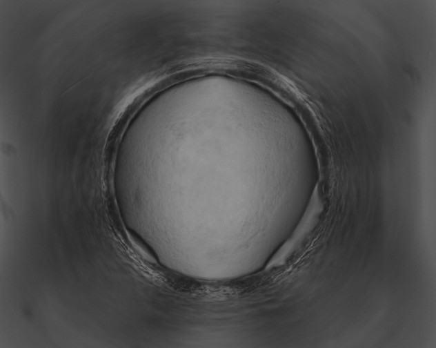 X0000090491312200708031137