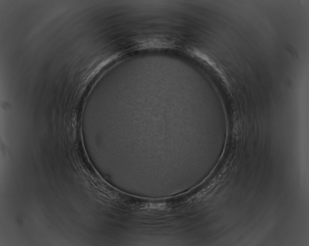 X0000090491313200708031137