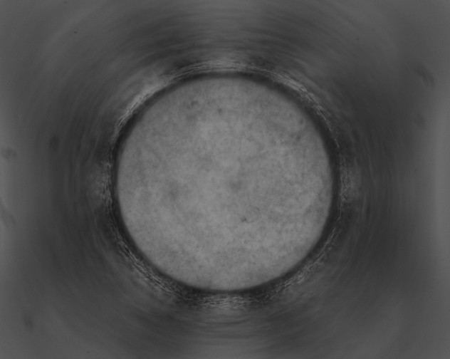 X0000090491314200708031137