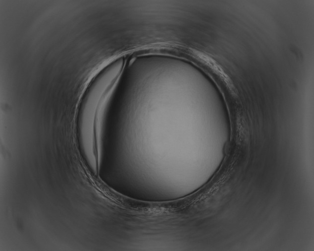 X0000090491316200708031138