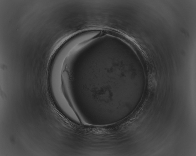 X0000090491319200708031138