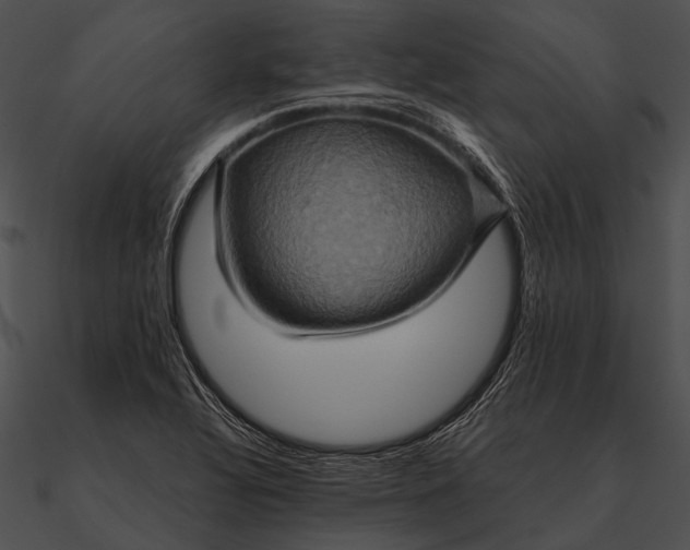 X0000090491320200708031138