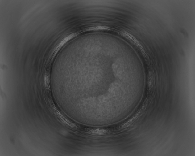 X0000090491321200708031138