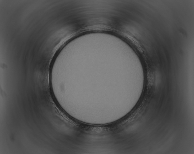 X0000090491322200708031138