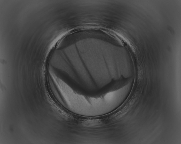 X0000090491325200708031138