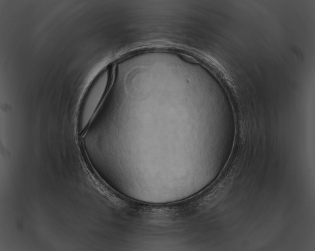 X0000090491326200708031138