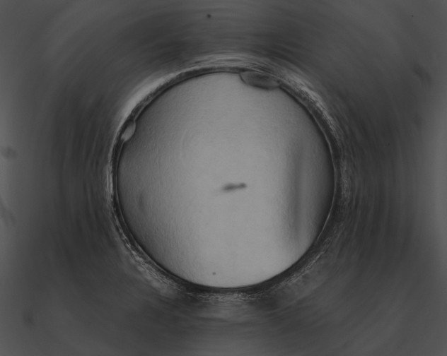 X0000090491328200708031138