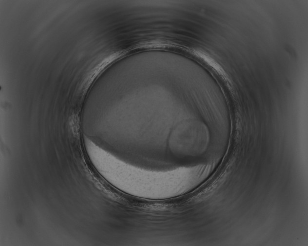 X0000090491329200708031138