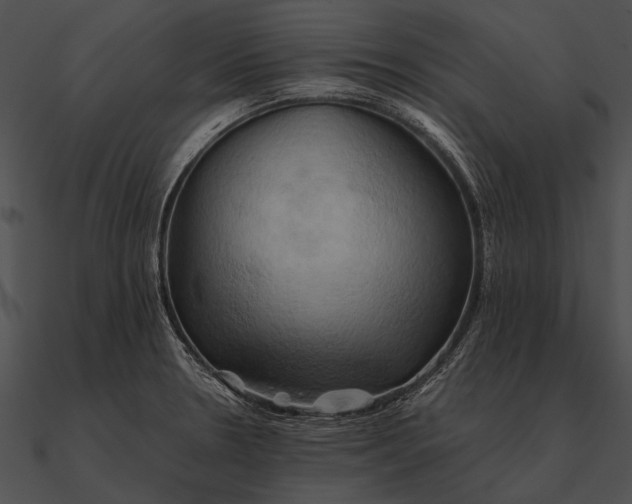 X0000090491330200708031138