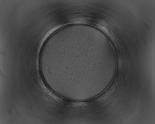 X0000090491331200708031138