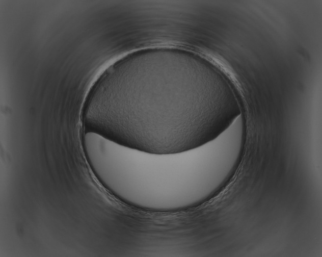 X0000090491332200708031138