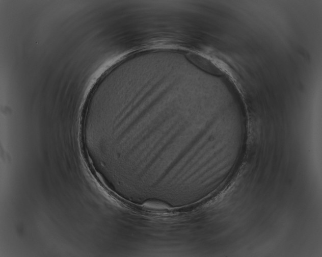 X0000090491333200708031138