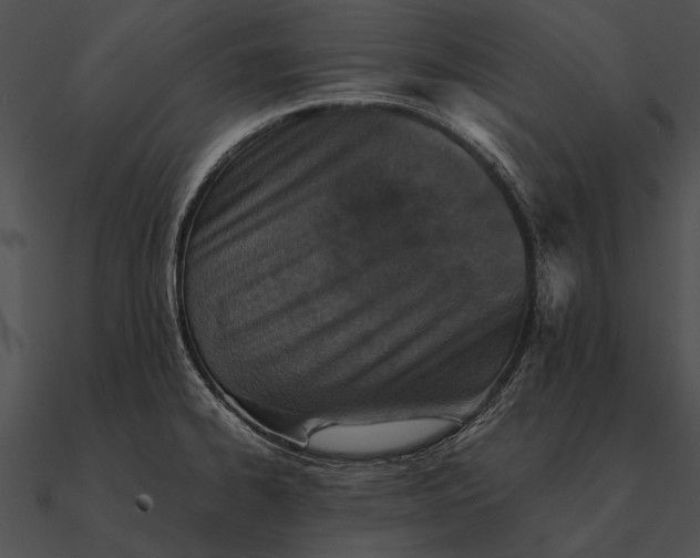 X0000090491334200708031138