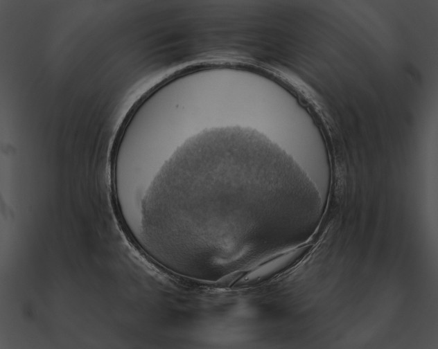 X0000090491335200708031138