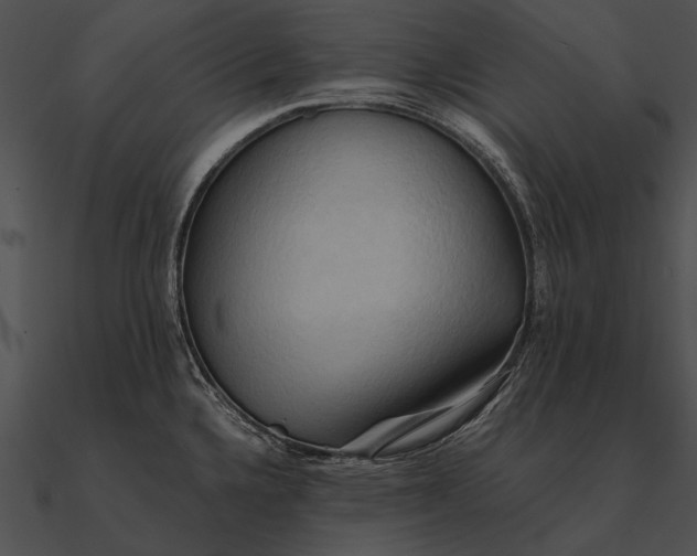 X0000090491336200708031138