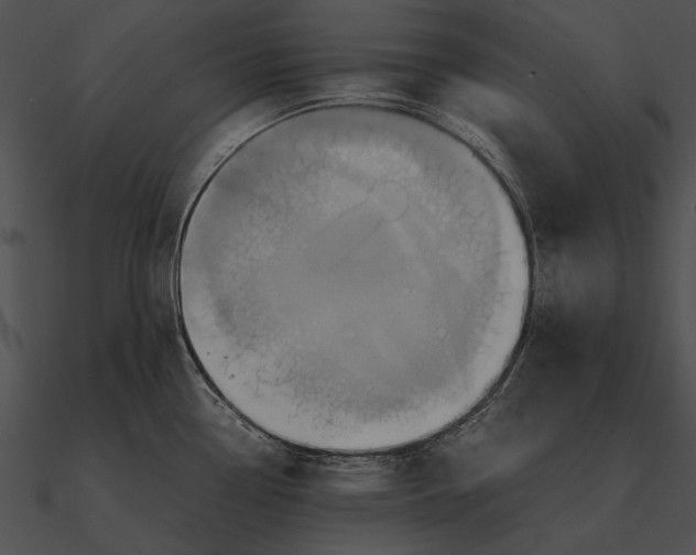 X0000090491338200708031138