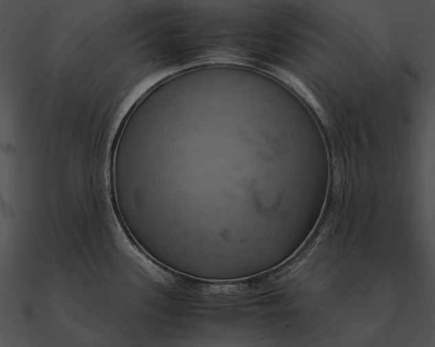 X0000090491339200708031138