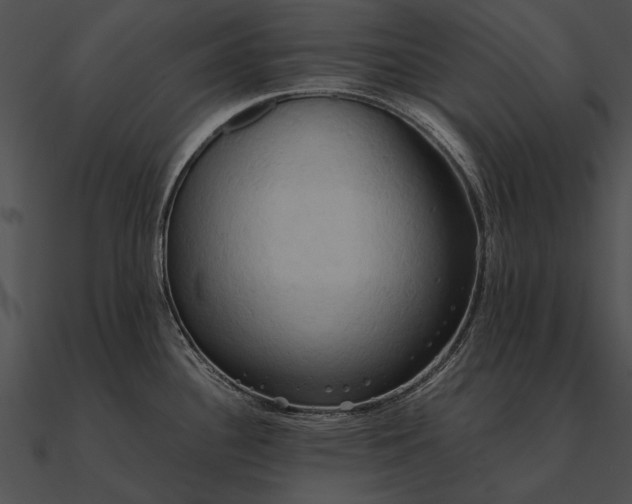 X0000090491340200708031138