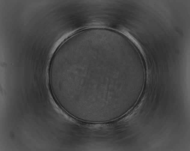 X0000090491341200708031138