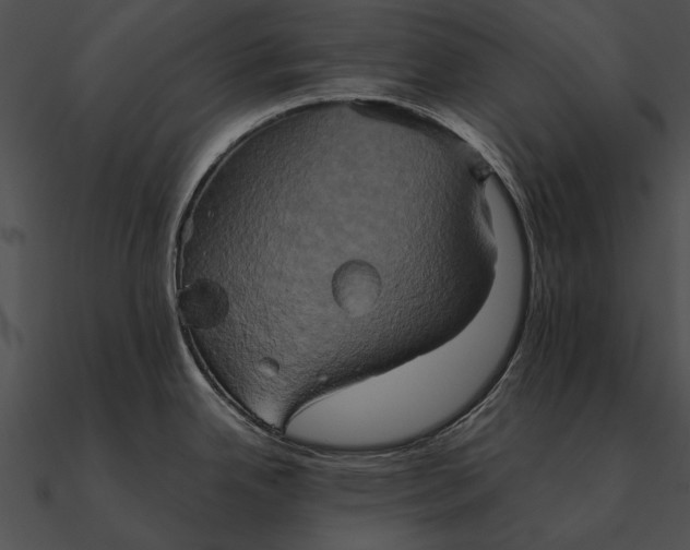 X0000090491342200708031138