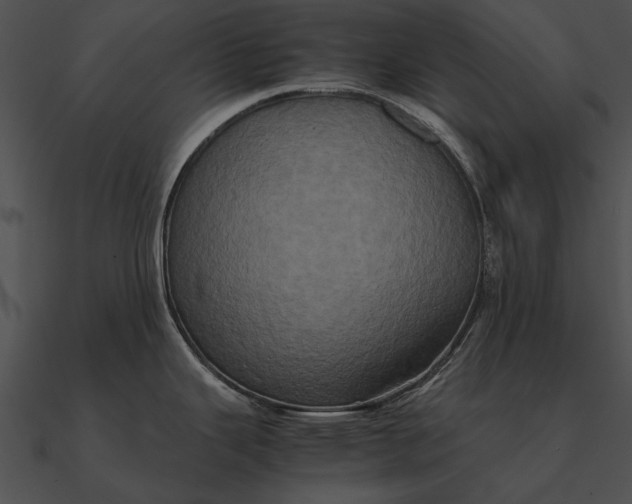 X0000090491343200708031138