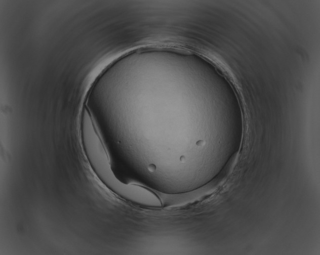 X0000090491344200708031138