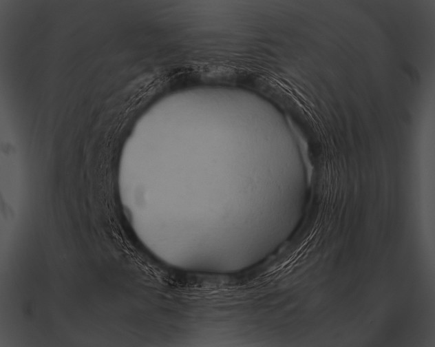 X0000090491345200708031137