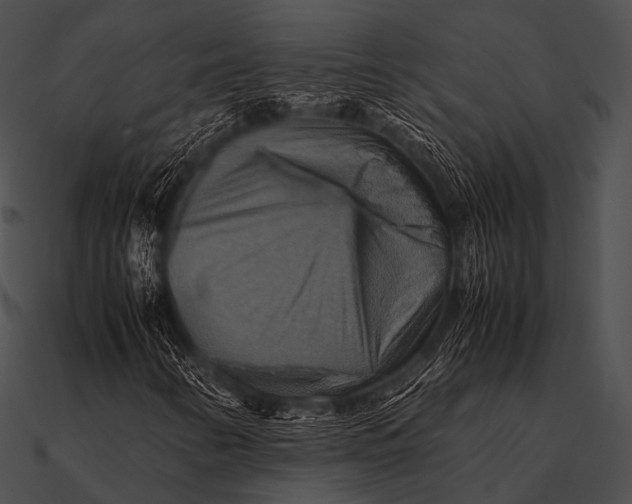 X0000090491346200708031137