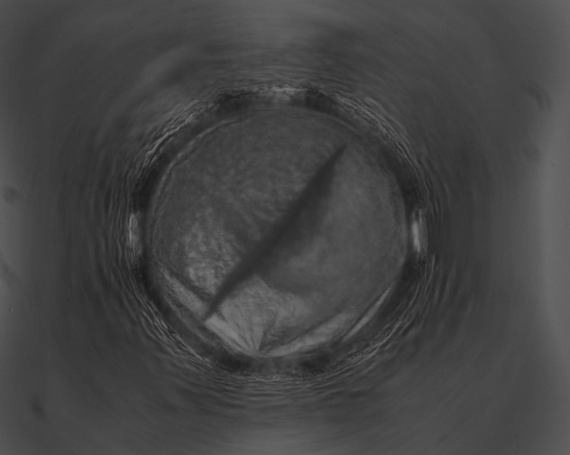 X0000090491347200708031137