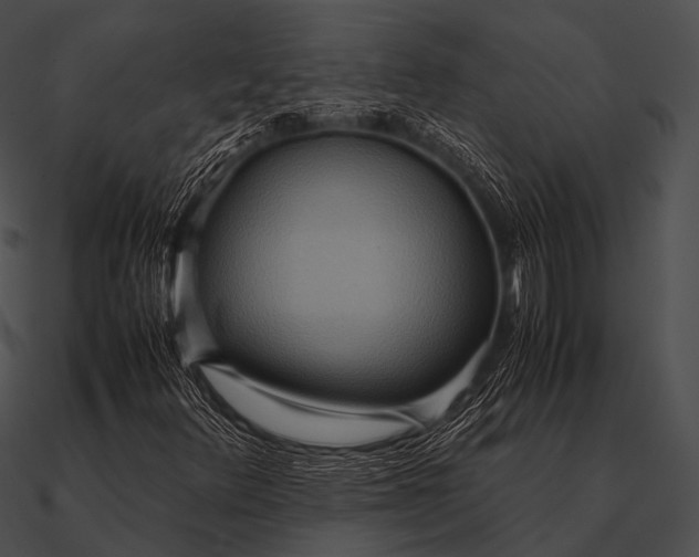 X0000090491348200708031137