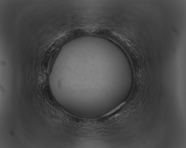 X0000090491349200708031137