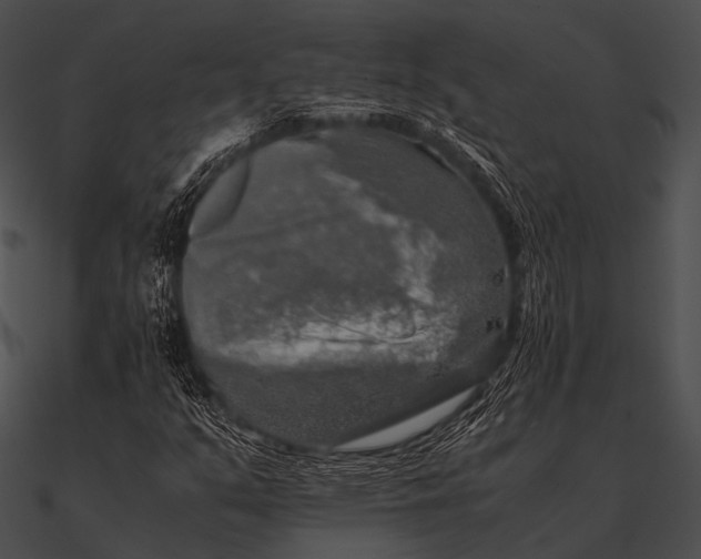 X0000090491351200708031137