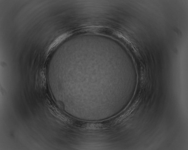 X0000090491354200708031137