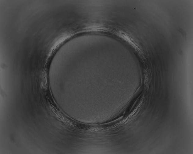 X0000090491358200708031137