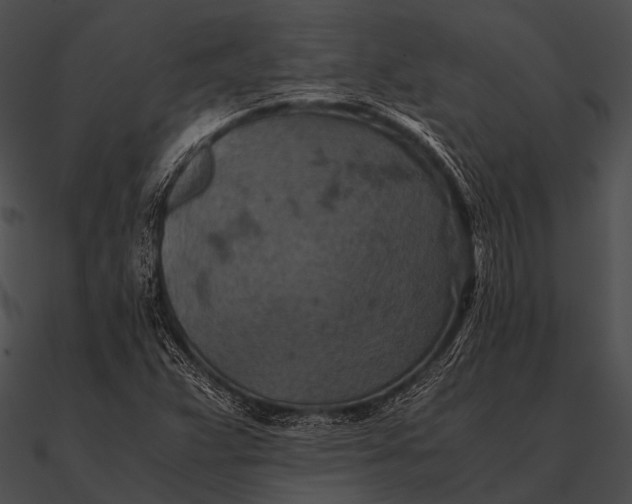 X0000090491359200708031137