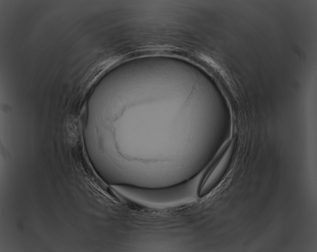 X0000090491361200708031137